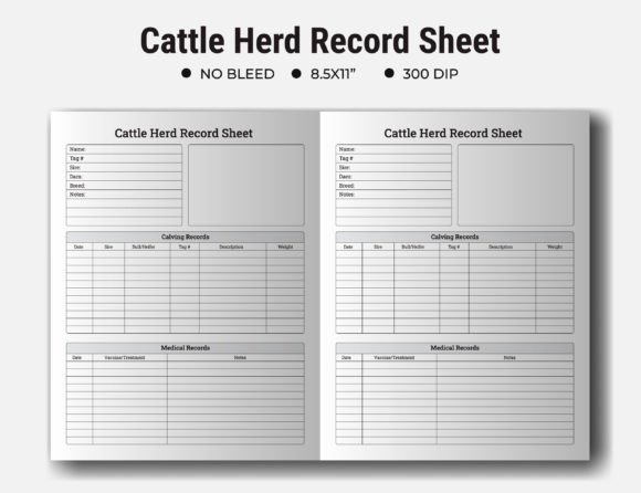 Cattle Herd Record Sheet: Building a System That Actually Works for Your Farm